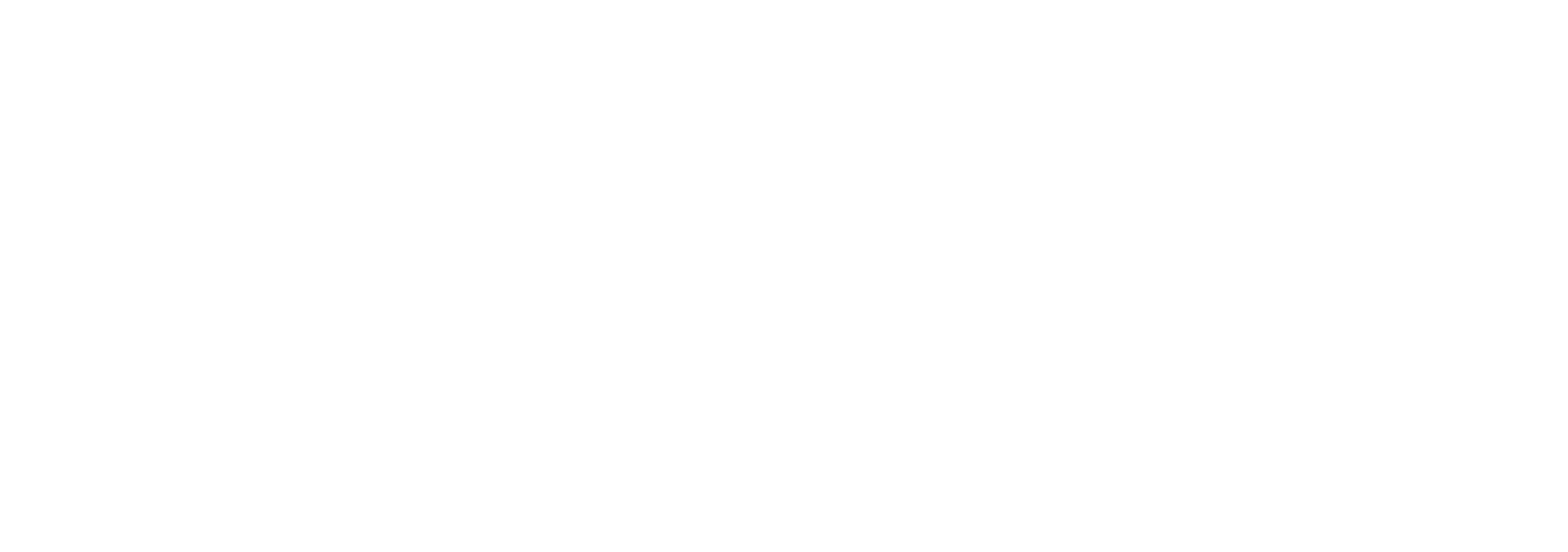 EPAM_LOGO_White