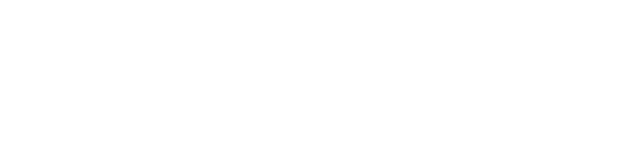 STRT_Logo_RGB_Monotone_White_2x