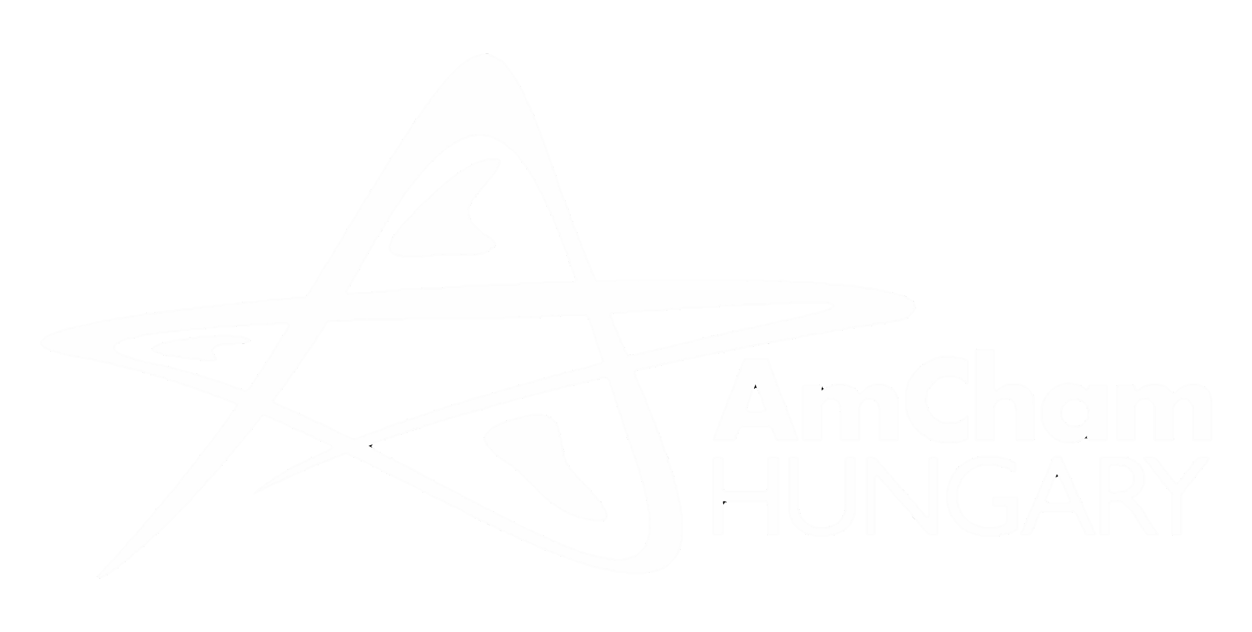 AmChamlogo_horizontal_white