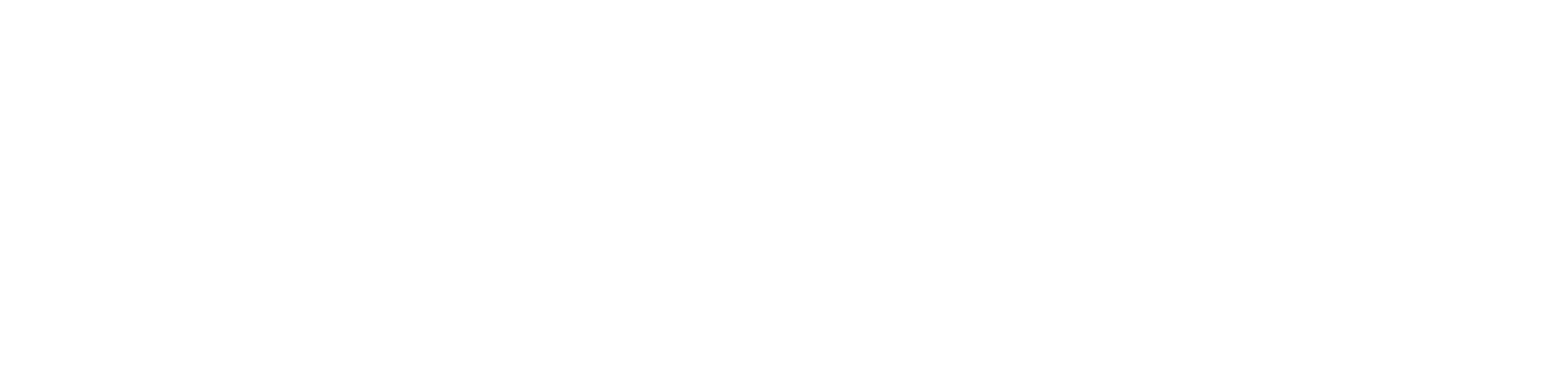 nexon_logo_inverse